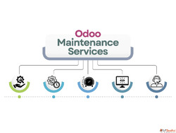 Professional Odoo Maintenance Services