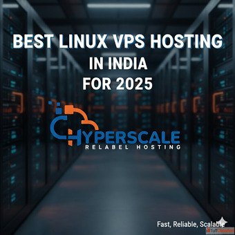 Linux VPS Hosting in India