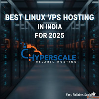 Linux VPS Hosting in India