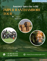 Elephant Sanctuary Jaipur The Best Place to Experience Eleph...