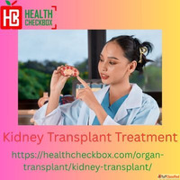Kidney Transplant Treatment Types Risk and Procedures