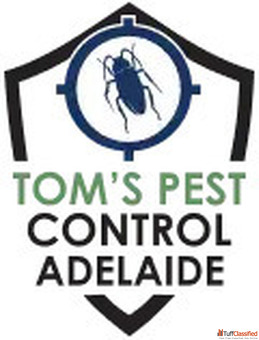 Pre Purchase Pest Inspection Adelaide Tom's Pest Control Adelaide