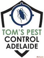 Pre Purchase Pest Inspection Adelaide Tom's Pest Contro...