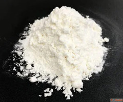 Leading Gallic Acid Antioxidant Supplier in Delhi - Akshat R...