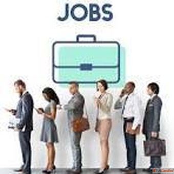 Top Job Vacancies 2025 - Govt IT Banking Teaching Defence Careers