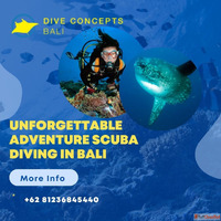 Unforgettable Adventure Scuba Diving in Bali