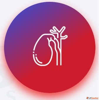 Cholecystectomy Surgery in Raipur