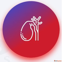 Cholecystectomy Surgery in Raipur