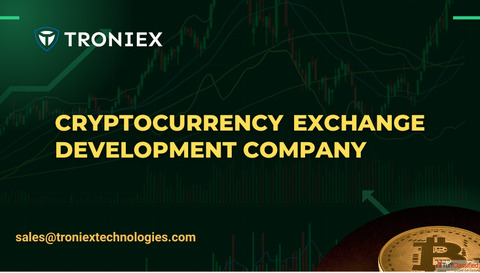 Cost-Effective Cryptocurrency Exchange Development Options