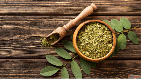 Wholesale Moringa Powder Supplier Exporter in the UK Aveda Ayur