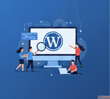 Looking to hire WordPress developers for your next website p...