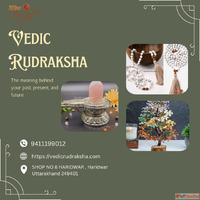Discover the Divine Energy and Spiritual Power of Vedic Rudr...