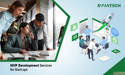 MVP Development Services for Startups in India - Svavvashaa ...