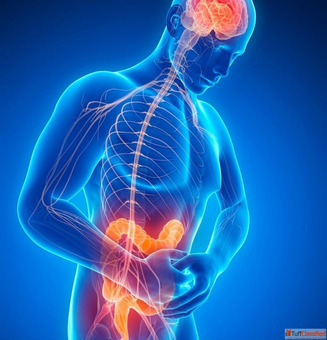 Consult Dr. Harshad Joshi for Advanced Treatment for Intestinal Failure in Mumbai