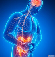 Consult Dr. Harshad Joshi for Advanced Treatment for Intesti...