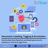 Find the Best Data Redaction and Masking Services at EnFuse