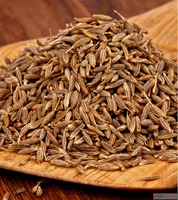 Best Cumin Seeds Suppliers in Rajkot