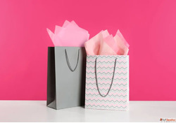 Gift Paper Bags