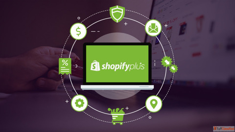 Build a High-Performance Store with Shopify Plus Experts
