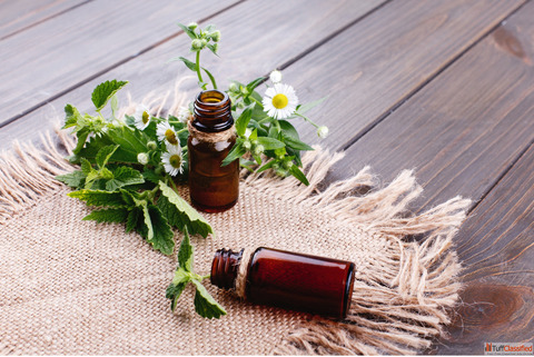 Top-Rated Agra Homeopathic Doctor for Safe Gentle and Lasting Relief