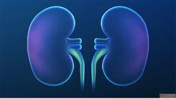 Holistic Healing with Homeopathy Treatment for Kidney Stone ...