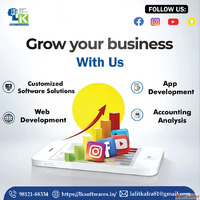 IT Services for Businesses in Haryana LK Softwares