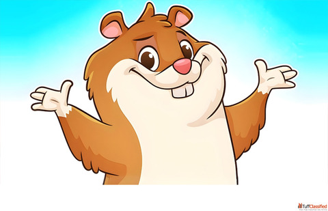 I Draw Custom Cartoon in Vector Illustration