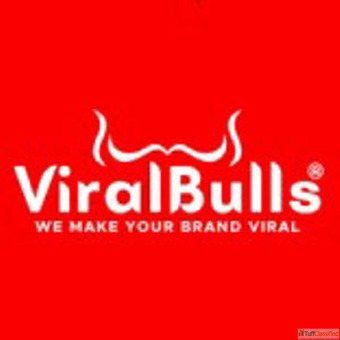 ViralBulls Digital Media Digital Marketing Company in Noida