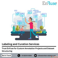 Trust EnFuse for Custom Annotation Projects and Dataset Stru...