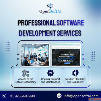 custom software development companies