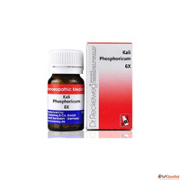 Shop Genuine Dr. Reckeweg Biochemic 6X - For Fatigue Weaknes...