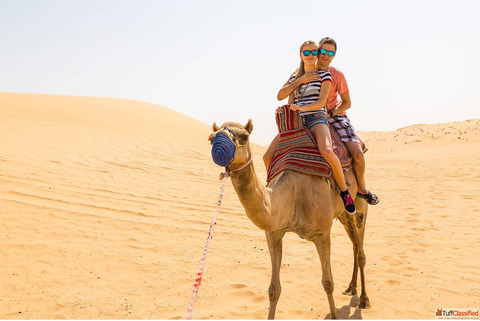 Tour Agents in Jaipur for Custom Rajasthan Tours