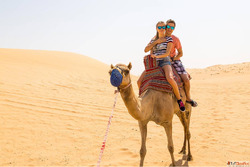 Tour Agents in Jaipur for Custom Rajasthan Tours