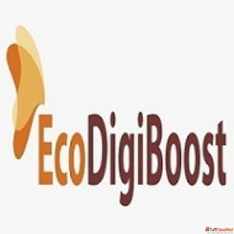 Choose the best SEO services in Delhi for more leads