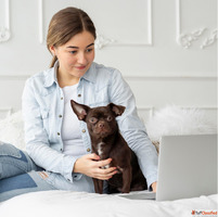 Online Vet Consultation - Expert Pet Care at Home