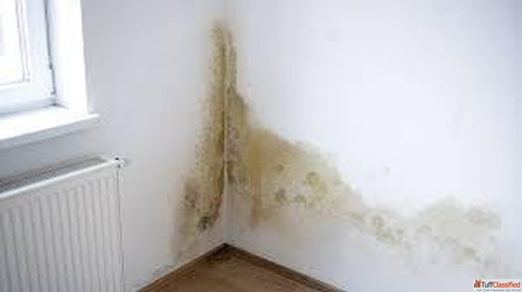 Wasserschadensanierung Freiburg - Jetzt Hilfe sichern