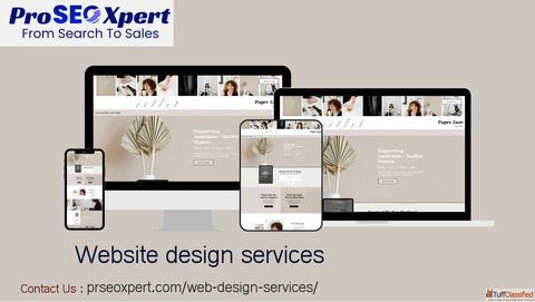 Professional Website Design Services - Custom Responsive