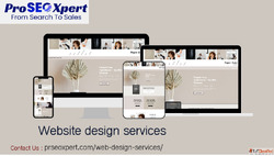 Professional Website Design Services - Custom Responsive