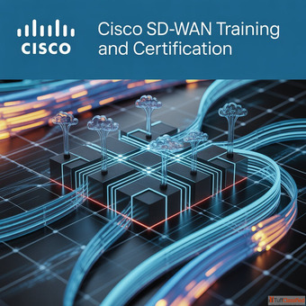 Cisco SDWAN Training and Certification