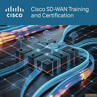 Cisco SDWAN Training and Certification
