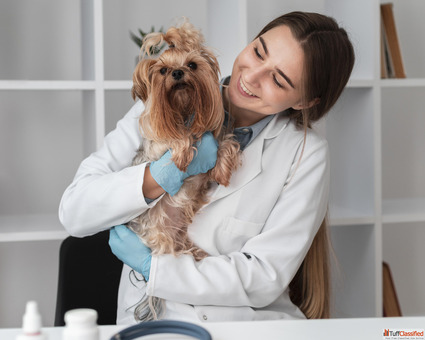 Trusted Online Pet Care Platform - Talk to a Vet Instantly