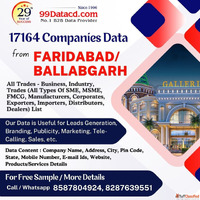 12226 FARIDABAD BALLABGARH B2B Companies Data