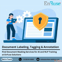 Find Document Masking Services for AI and NLP Training at En...