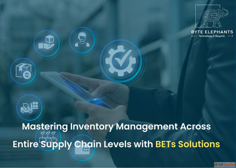 Mastering Inventory Management Across Entire Supply Chain Levels with BETs Solutions
