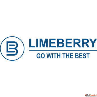 Experience Next-Level Visual Engagement with Limeberry's Digital Standee Solutions