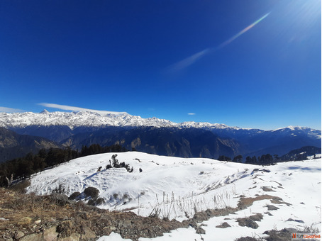 Dayara Bugyal Trek - A Beautiful Meadow Trail for Every Nature Lover
