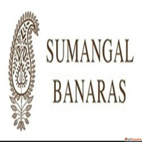 Banarasi Saree Lovers Visit the Best Saree Shop in Varanasi