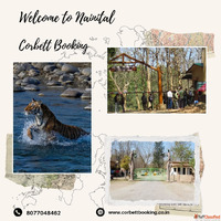 Phato Zone Safari Timings - Plan Your Perfect Corbett Experi...