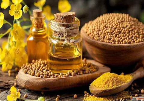 Best Mustard Oil Suppliers in West Bengal