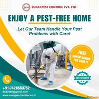 Create Pest-free your Home in Faridabad